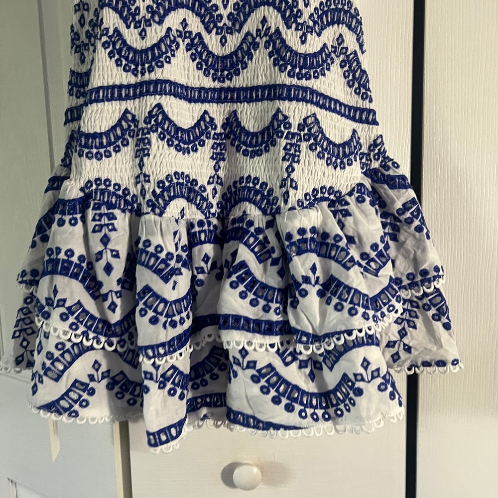 Embroidered Ruffled Sleeveless Dress - Picture 13 of 16